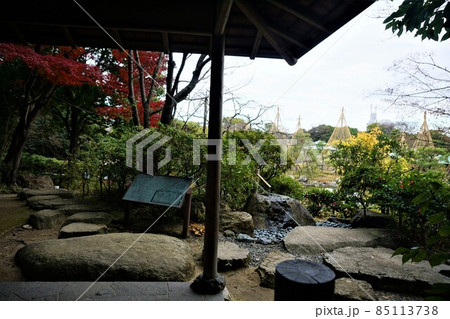 名古屋白鳥公園 85113738