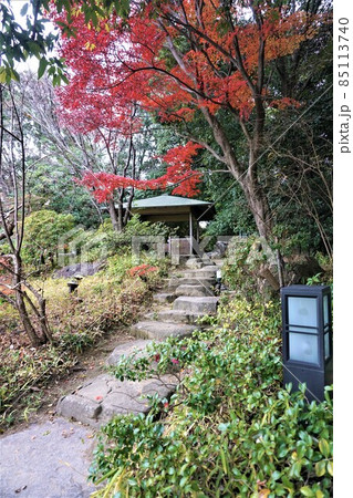名古屋白鳥公園 85113740
