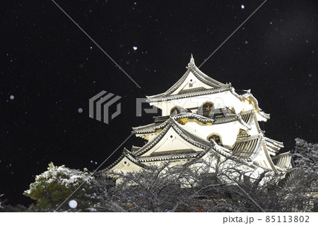 牡丹雪の舞う彦根城　滋賀 85113802