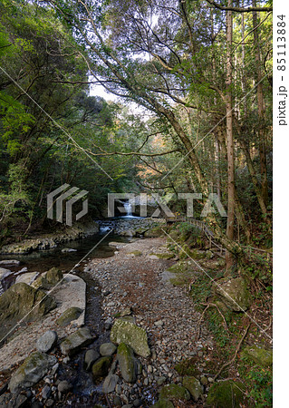 【静岡県】 河津七滝 【静岡県】 河津七滝 85113884