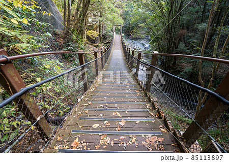 【静岡県】 河津七滝 【静岡県】 河津七滝 85113897
