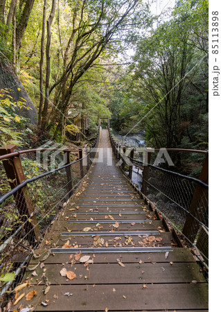 【静岡県】 河津七滝 【静岡県】 河津七滝 85113898