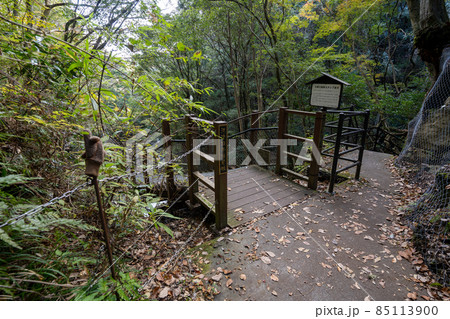 【静岡県】 河津七滝 【静岡県】 河津七滝 85113900