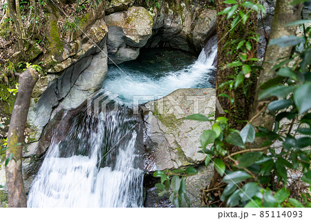 【静岡県】　河津七滝 85114093