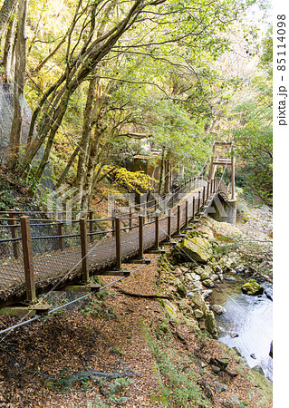【静岡県】　河津七滝 85114098