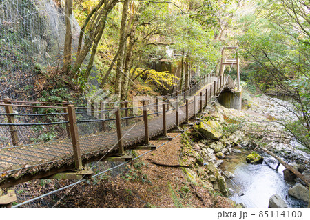 【静岡県】　河津七滝 85114100