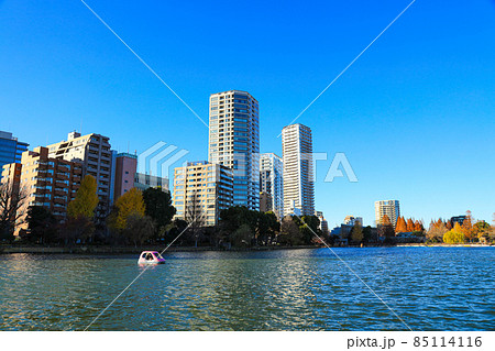 【東京都】上野恩賜公園と不忍池の風景 85114116