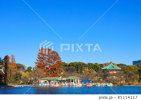 【東京都】上野恩賜公園と不忍池の風景 85114117