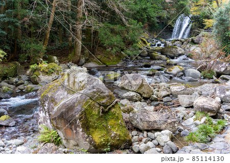 【静岡県】 河津七滝 【静岡県】 河津七滝 85114130