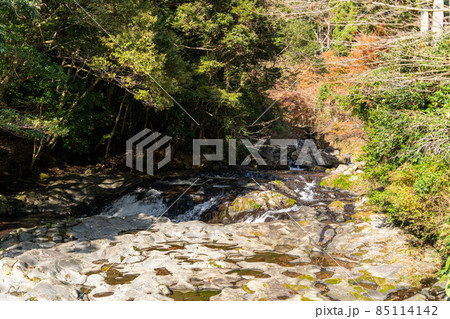 【静岡県】 河津七滝 【静岡県】 河津七滝 85114142