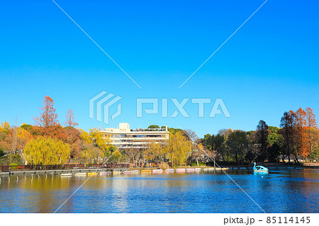【東京都】上野恩賜公園と不忍池の風景 85114145