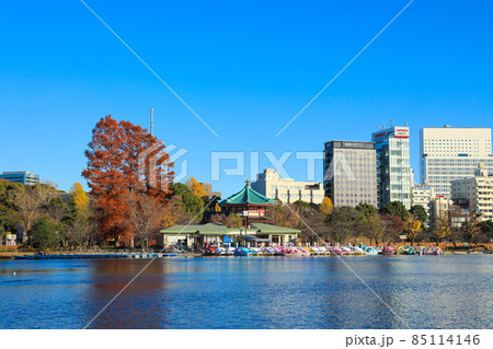 【東京都】上野恩賜公園と不忍池の風景 【東京都】上野恩賜公園と不忍池の風景 85114146