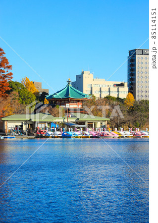 【東京都】上野恩賜公園と不忍池の風景 85114151