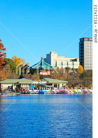 【東京都】上野恩賜公園と不忍池の風景 【東京都】上野恩賜公園と不忍池の風景 85114153