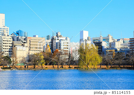 【東京都】上野恩賜公園と不忍池の風景 【東京都】上野恩賜公園と不忍池の風景 85114155