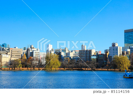 【東京都】上野恩賜公園と不忍池の風景 【東京都】上野恩賜公園と不忍池の風景 85114156