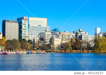 【東京都】上野恩賜公園と不忍池の風景 【東京都】上野恩賜公園と不忍池の風景 85114157