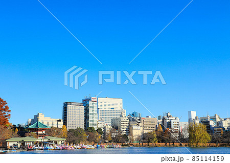 【東京都】上野恩賜公園と不忍池の風景 【東京都】上野恩賜公園と不忍池の風景 85114159