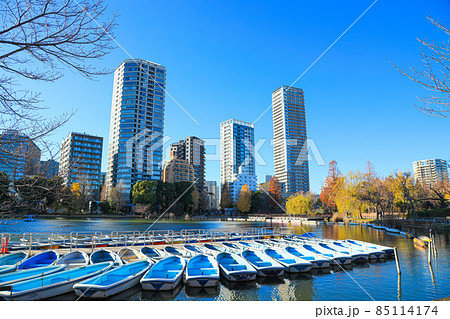 【東京都】上野恩賜公園と不忍池の風景 85114174