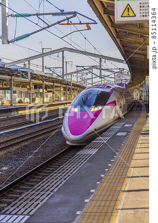 新幹線　乗り物　鉄道　高速鉄道　500系　ハローキティ新幹線 　ピンク 85114364