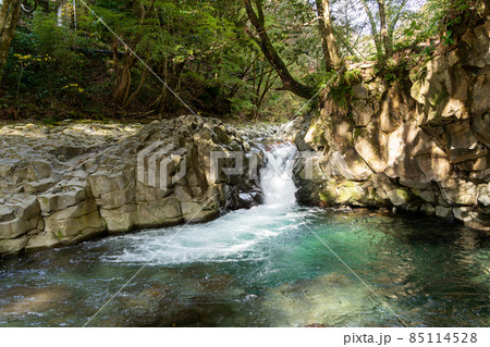 【静岡県】河津七滝　カニ滝 85114528