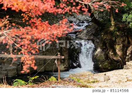 【静岡県】河津七滝　カニ滝 85114566