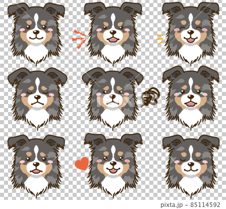 Sheltie (Blue Merle) facial expression face icon Sheltie (Blue Merle) facial expression face icon 85114592