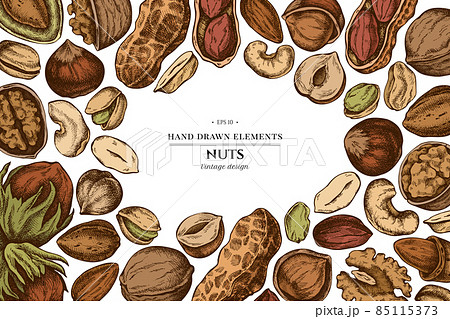 Colored elements design with cashew, peanut, pistachio, hazelnut, almond, walnut 85115373