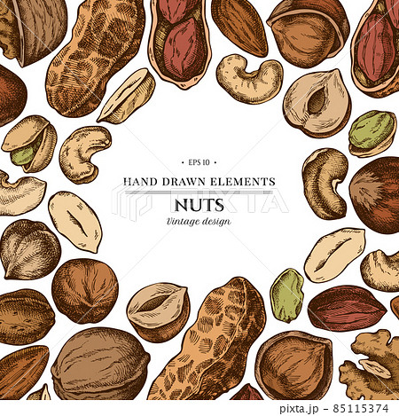 Colored elements design with cashew, peanut, pistachio, hazelnut, almond, walnut Colored elements design with cashew, peanut, pistachio, hazelnut, almond, walnut 85115374
