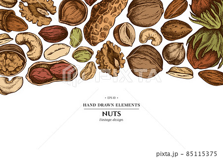Colored elements design with cashew, peanut, pistachio, hazelnut, almond, walnut 85115375