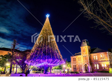 同志社大学のクリスマスツリー 85115475