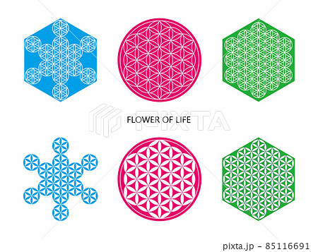 神聖幾何学フラワーオブライフと六角形のシンボルのイラスト素材