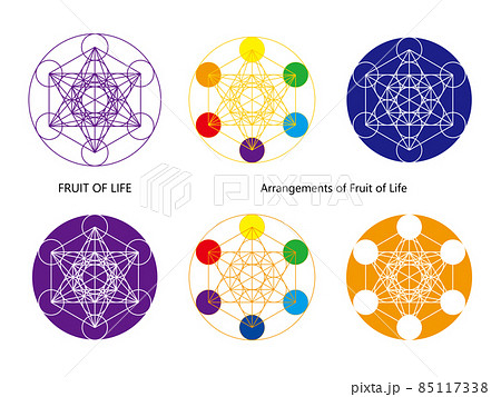 神聖幾何学フルーツオブライフ、メタトロンキューブのイラスト素材