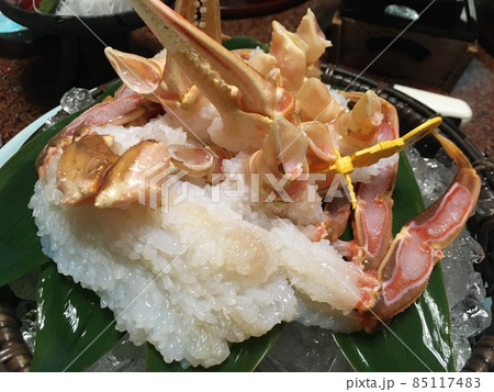 蟹刺し/タグ付き越前蟹 蟹刺し/タグ付き越前蟹 85117483