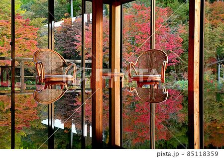 環境芸術の森の机に反射する紅葉 環境芸術の森の机に反射する紅葉 85118359