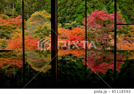 環境芸術の森の机に反射する紅葉 85118593