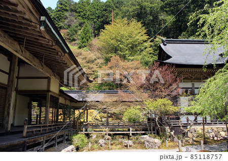 常照皇寺 85118757
