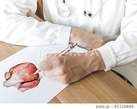 Doctor describing the heart on a clipboard in medical office 85118889