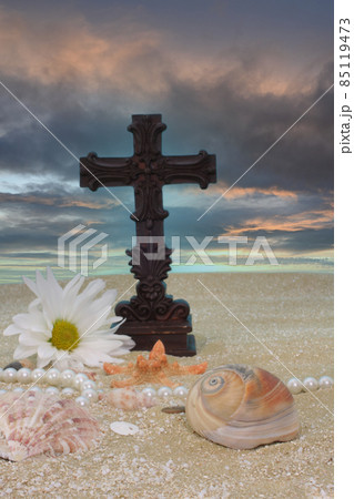 Sea Shells With Cross on Sand, Shallow DOF Focus on Shells Sea Shells With Cross on Sand, Shallow DOF Focus on Shells 85119473