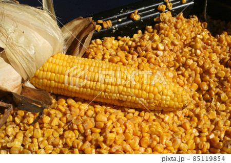 Fresh Roasted Sweet Corn at County Fair 85119854