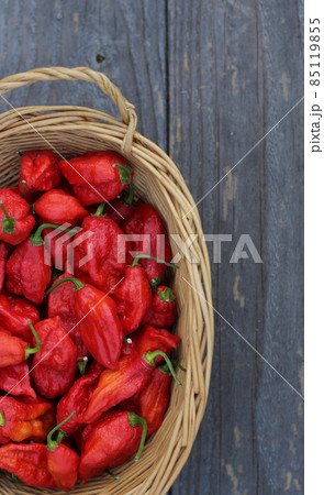 Basket of Fresh Bhut Jolokia Ghost Chili Peppers at rural farmers market 85119855