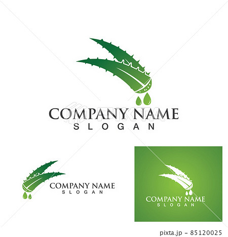 Aloe vera logo and symbol vector Aloe vera logo and symbol vector 85120025