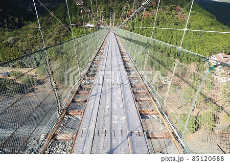 谷瀬の吊橋 谷瀬の吊橋 85120688