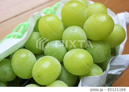 ~葡萄~ ○◯*+○シャインマスカット○+◯*○。 ~葡萄~ ○◯*+○シャインマスカット○+◯*○。 85121166