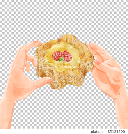 ベリーカスタードデニッシュペイストリー手描き水彩風イラスト 85121200