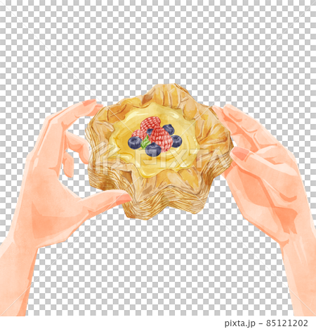 ベリーカスタードデニッシュペイストリー手描き水彩風イラスト ベリーカスタードデニッシュペイストリー手描き水彩風イラスト 85121202