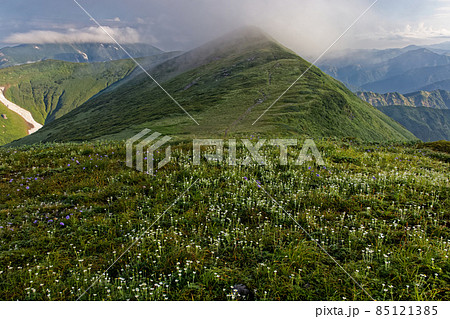 朝霧流れる夏の朝日連峰・寒河山稜線 85121385