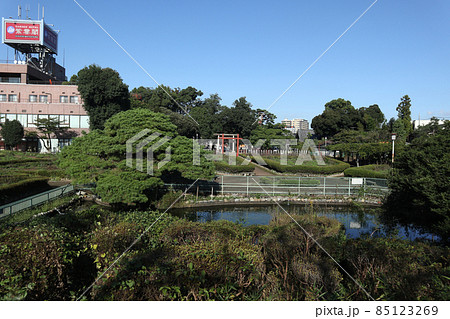 箭弓稲荷神社牡丹園 85123269