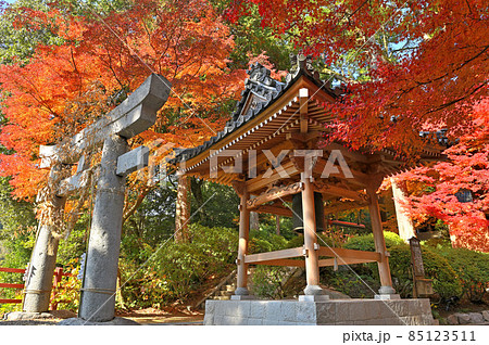 紅葉期の大興善寺「鐘楼（平和の鐘）」 85123511