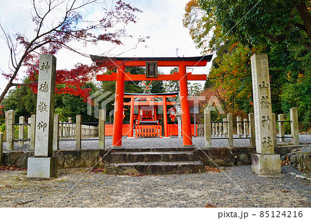 山蔭神社(京都市左京区 吉田神社) 山蔭神社(京都市左京区 吉田神社) 85124216